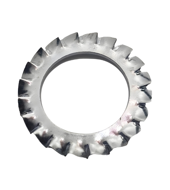 Lông đền răng cưa Ngoài Thép REYHER M31 48X1.6 DIN 6797A