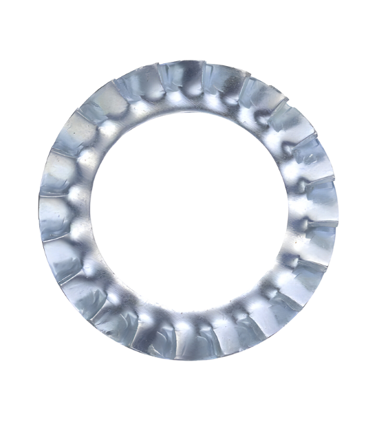 Lông đền răng cưa Trong Thép REYHER 31 48X16 DIN 6798A