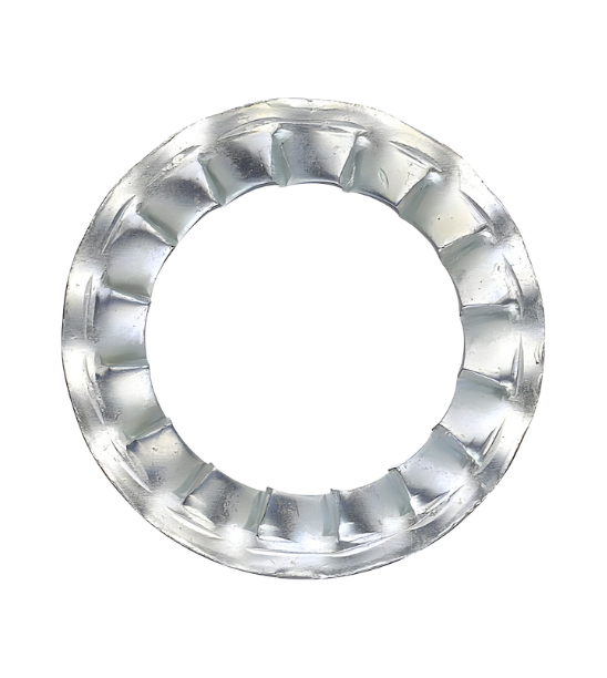 Lông đền răng cưa Trong Thép REYHER 31 48X16 DIN 6798I